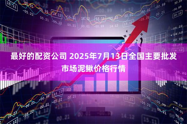 最好的配资公司 2025年7月13日全国主要批发市场泥鳅价格行情