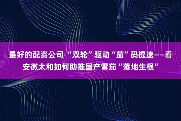 最好的配资公司 “双轮”驱动　“茄”码提速——看安徽太和如何助推国产雪茄“落地生根”